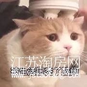 9509d78abb0391277d3d63238e5a78a512e8263c.jpg 640 (3).webp (1).jpg